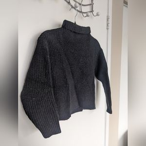 Aritzia Wilfred Crop Sweater